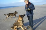 meine Hunde Jago (vorn) und Anton (hinten) mit mir am Strand von Amrum
